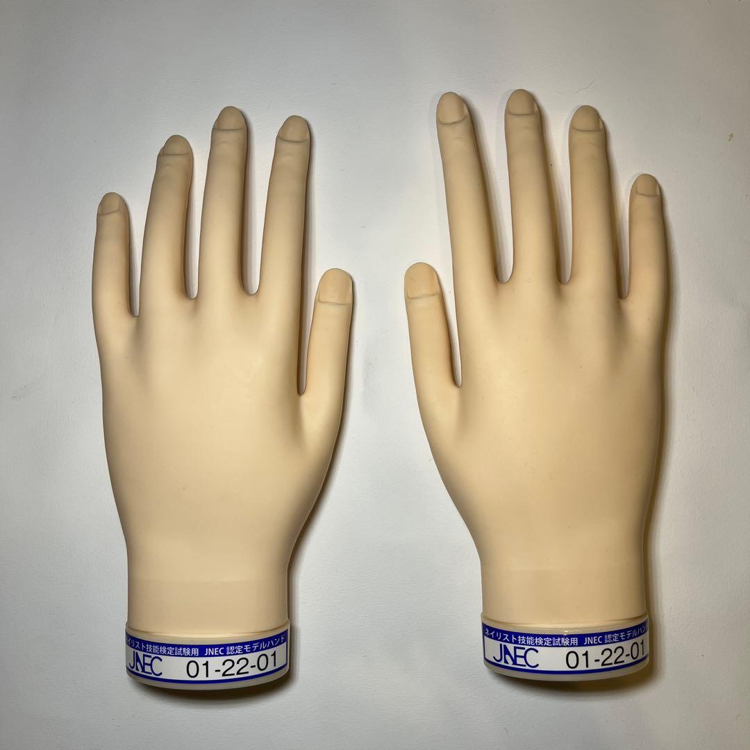ネイリスト技能検定試験用 JNEC認定モデルハンド 美品
