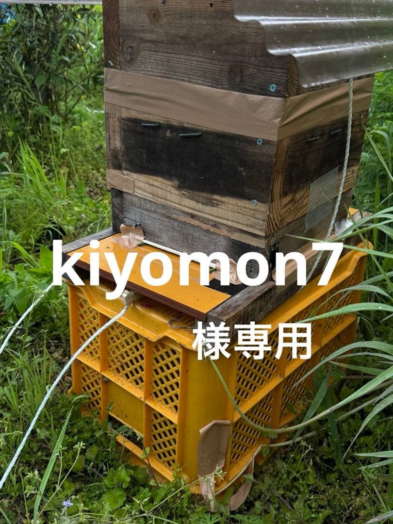 日本蜜蜂 重箱式巣箱４段　スライド底板 スノコ付き　説明書有　パイプ架台手順添付