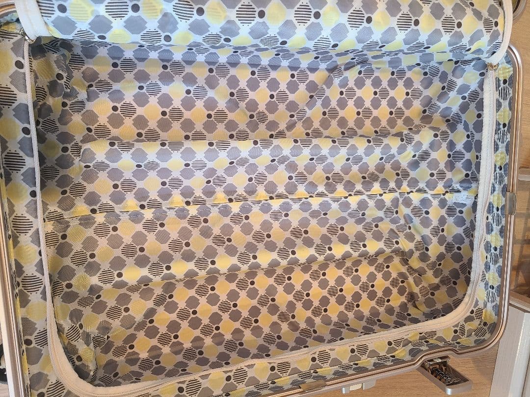 スーツケース　ACE HaNT　大容量87L