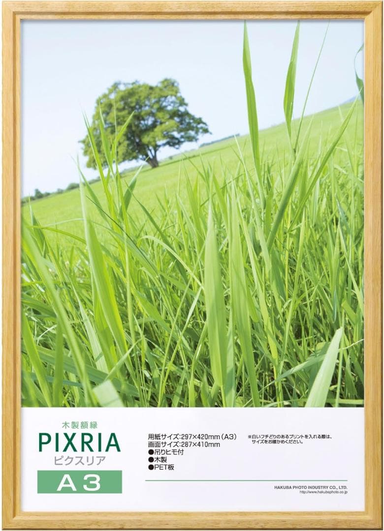 ハクバ HAKUBA 木製額縁 ピクスリア A3サイズ 10枚セット