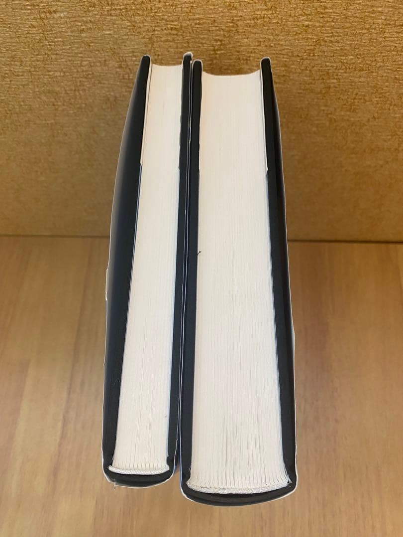 シャイムスーティン 2冊組 カタログレゾネ Catalogue Raisonne