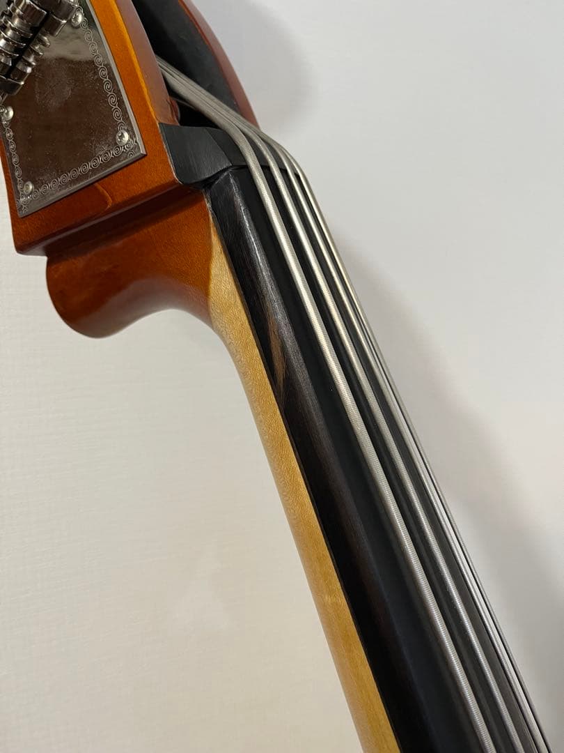 【mkt】Reghin 5弦コントラバス