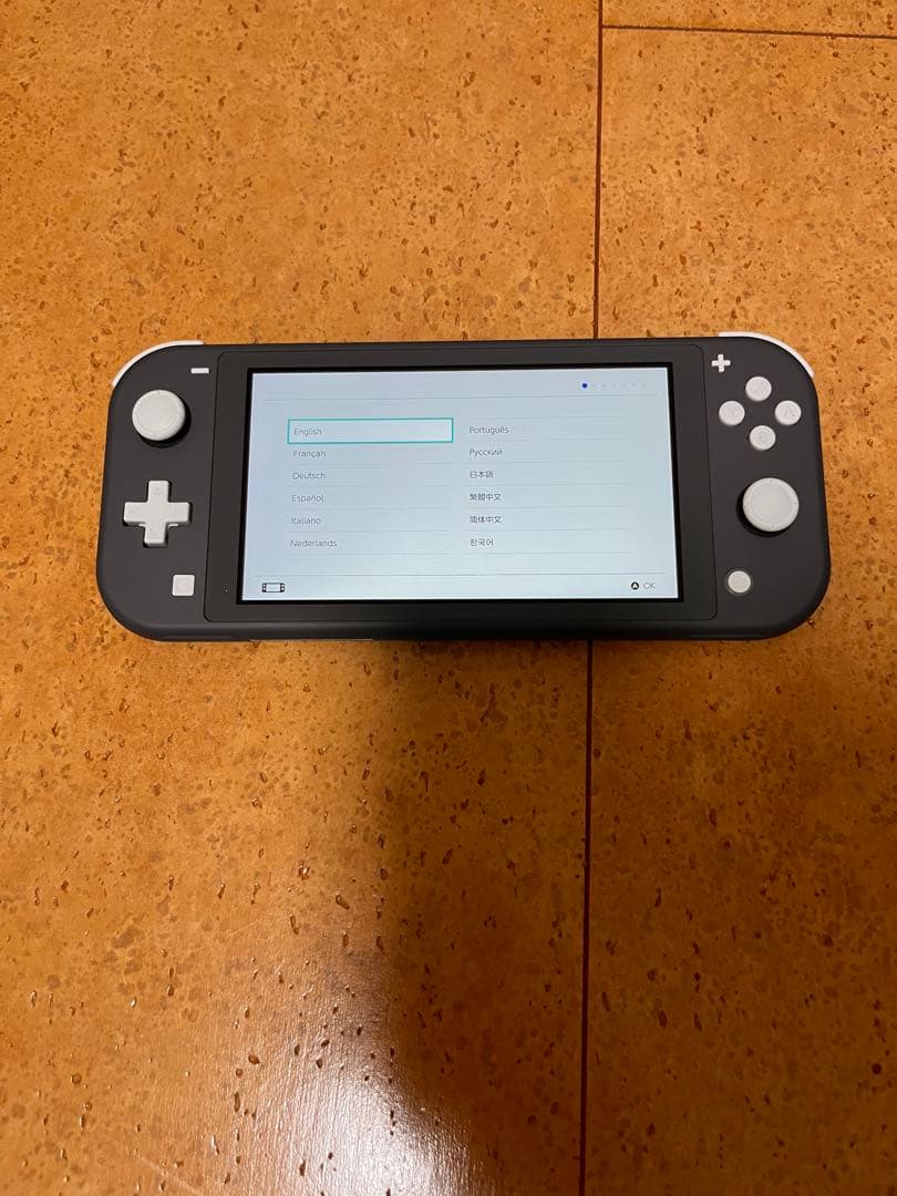 Nintendo Switch Lite グレー 本体　ケース付き