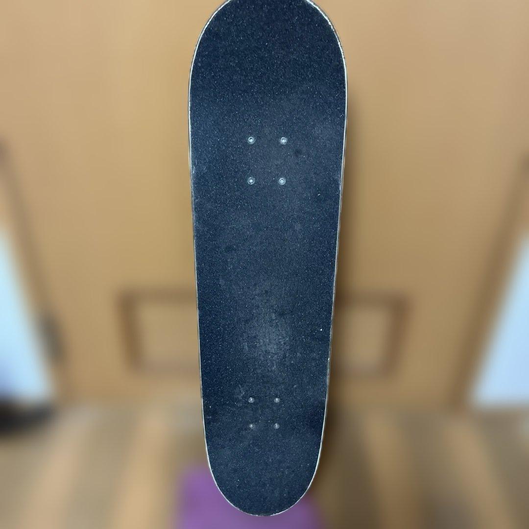 SANTA CRUZ スケートボード コンプリート