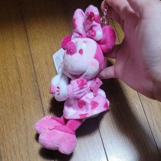 ディズニー パルパルーザ ファンダーランド ミニー ショルダー