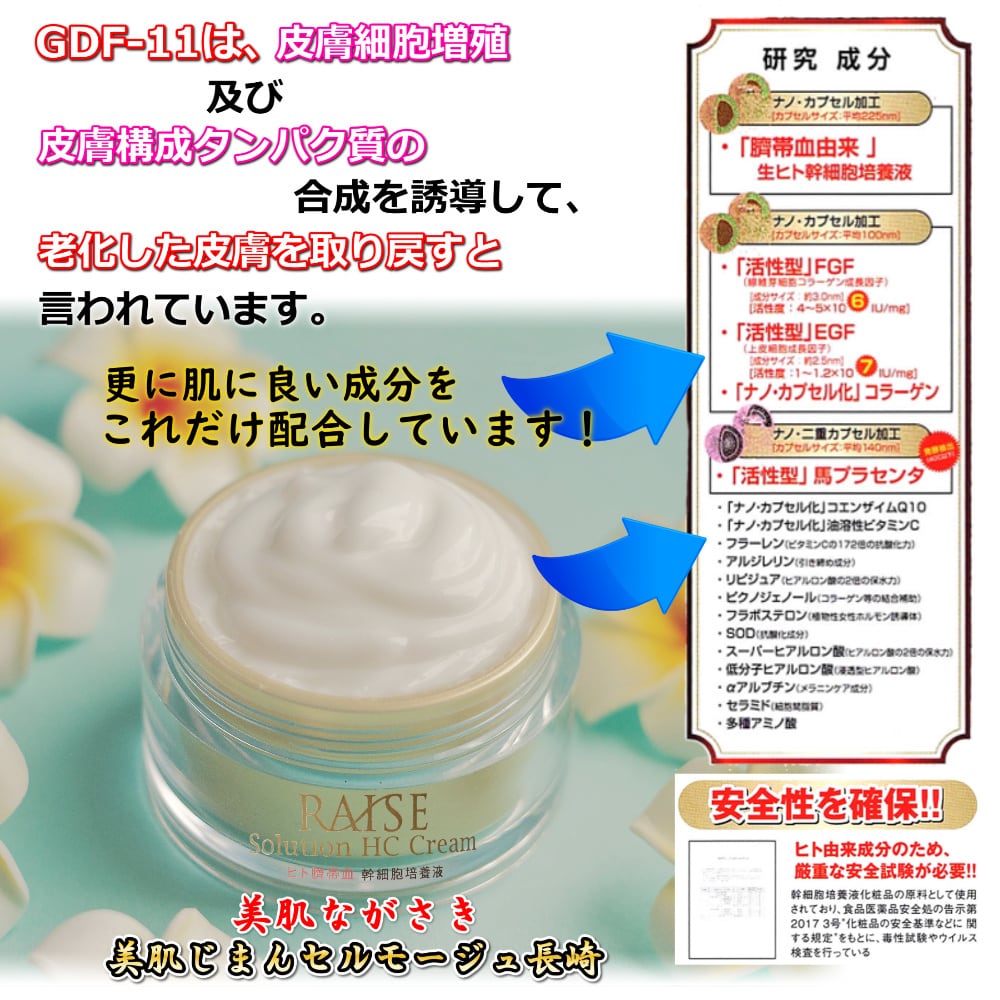 60％OFF！ レイズ ソリューション HC クリーム 30g 臍帯血由来 生