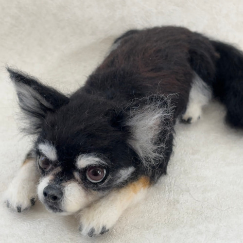 羊毛フェルト【オーダーメイド】うちの子オーダー✴︎犬✴︎愛犬
