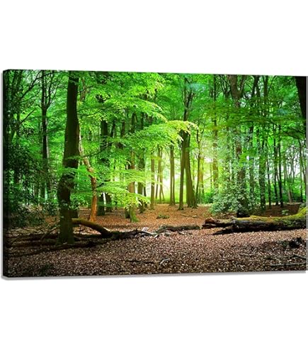 Amazon.co.jp: 東山魁夷『緑響く(10号特寸)』プリハード印刷 風景画