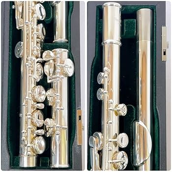 Amazon.co.jp: 1630 パールフルート Pearl PF-505 Eメカ付き フルート