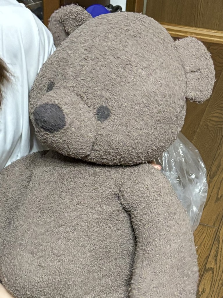 Sleep】ベア抱き枕(クッション・グッズ)｜ルームウェア・パジャマ通販